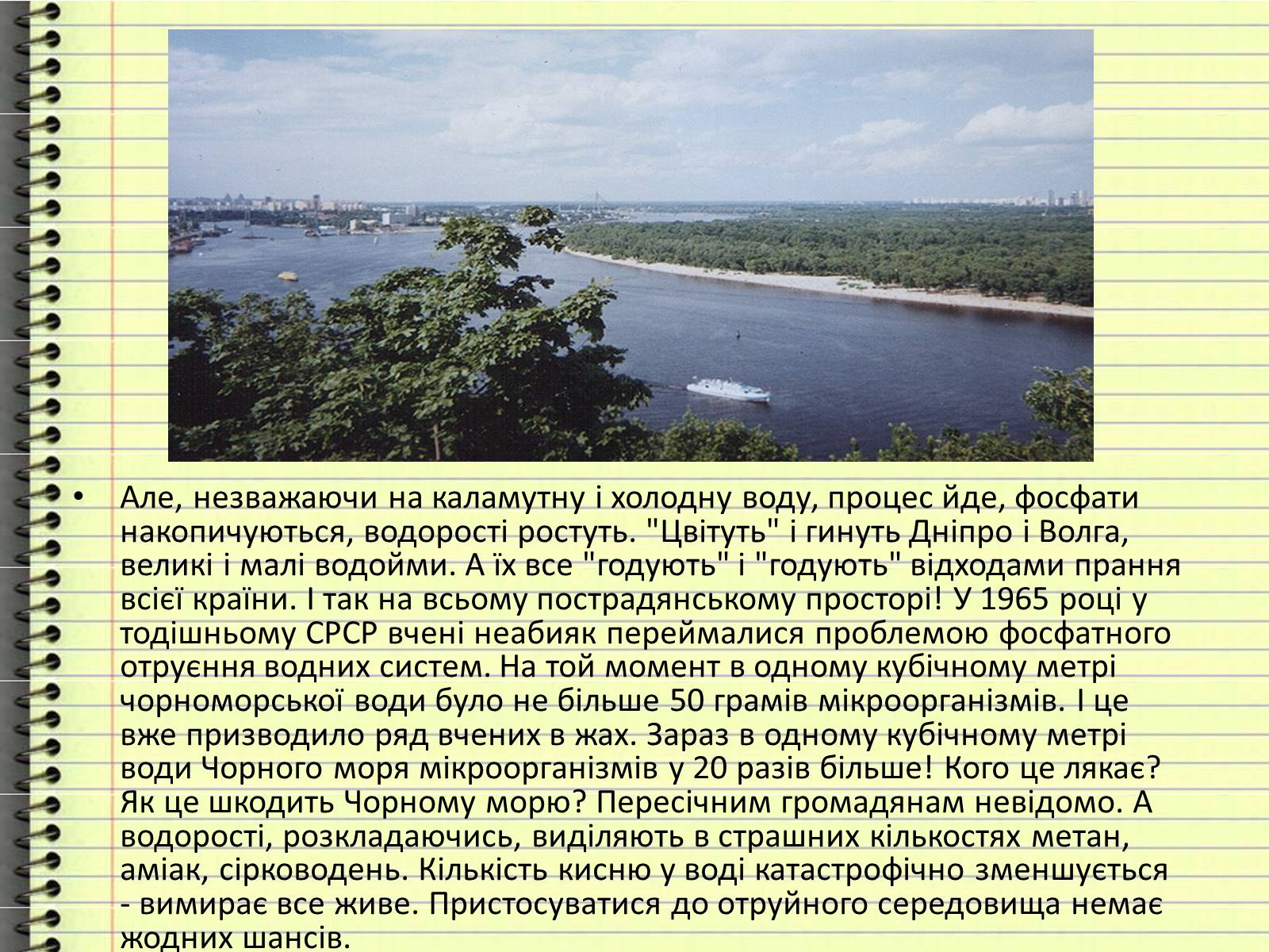 Презентація на тему «Захист довкілля від забруднення шкідливих мійних засобів» - Слайд #5