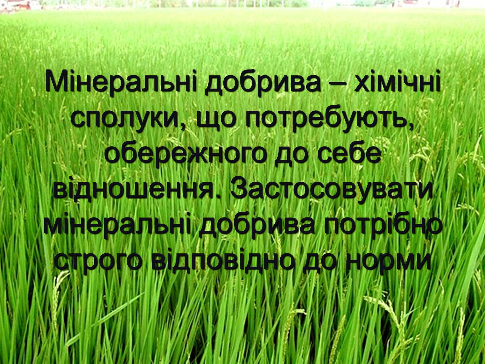 Презентація на тему «Мінеральні добрива» (варіант 1) - Слайд #2