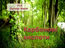 Презентація на тему «Карбонатна кислота» (варіант 2)