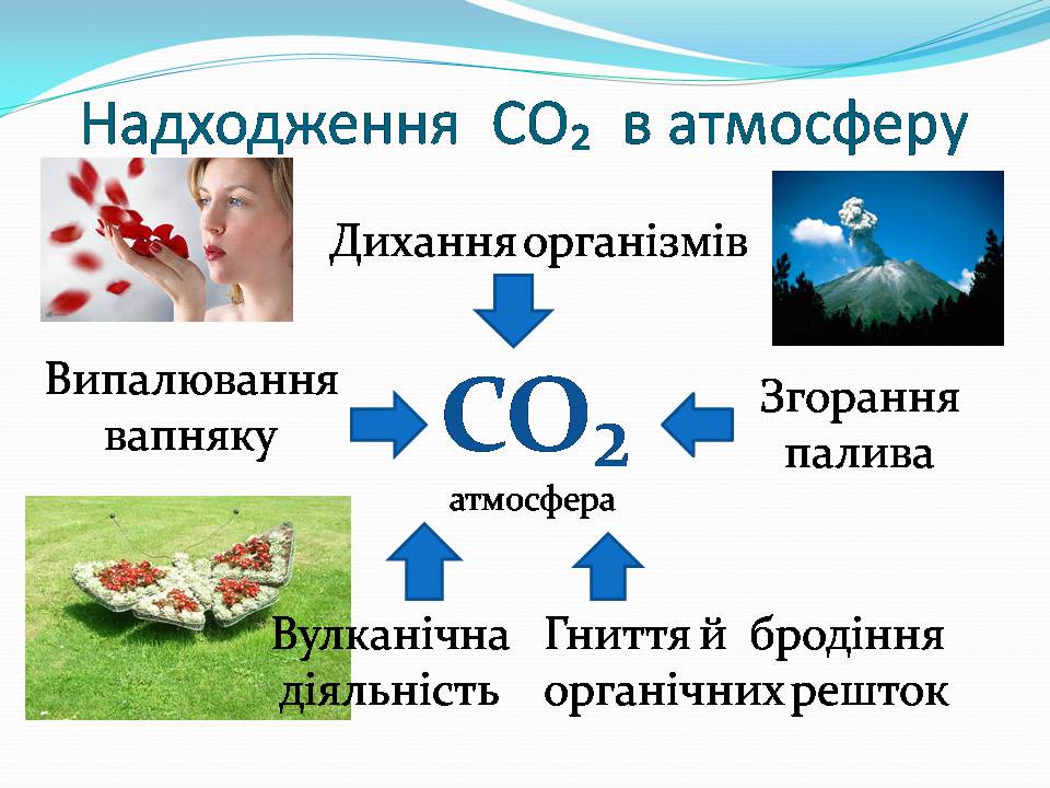 Презентація на тему «Колообіг Карбону в природі» (варіант 2) - Слайд #4