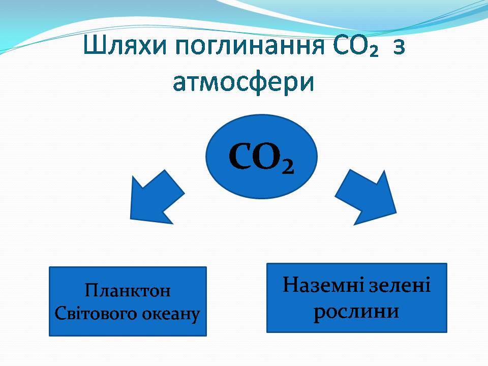 Презентація на тему «Колообіг Карбону в природі» (варіант 2) - Слайд #5