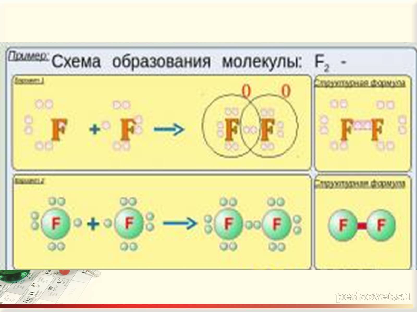 Презентація на тему «Характеристика галогенів. Їх біологічне значення» - Слайд #12