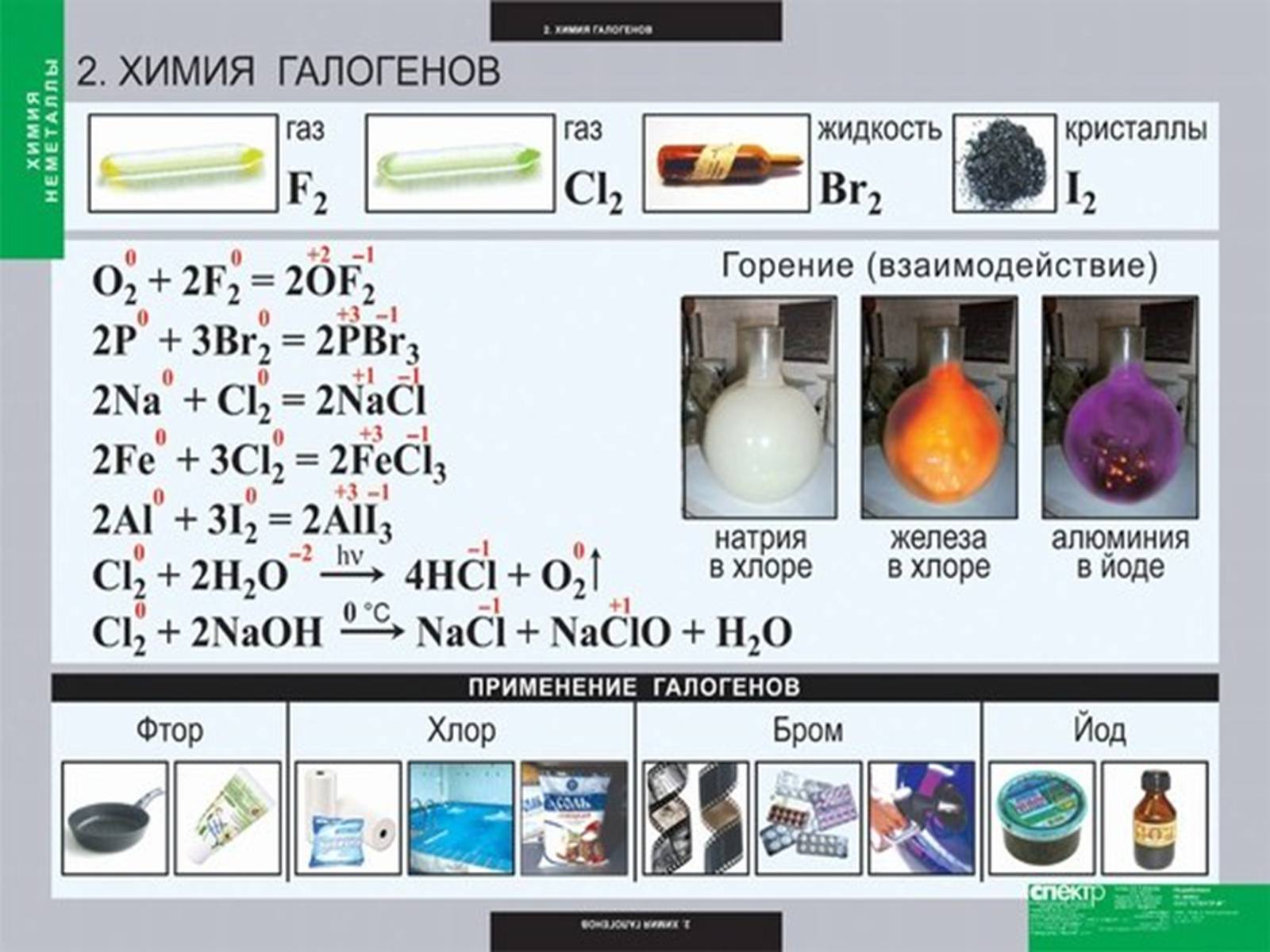 Презентація на тему «Характеристика галогенів. Їх біологічне значення» - Слайд #5