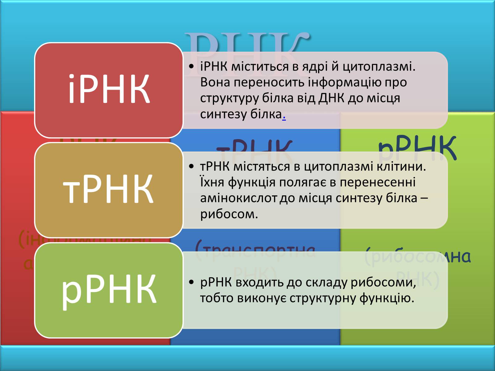 Презентація на тему «Нуклеїнові кислоти» (варіант 1) - Слайд #10