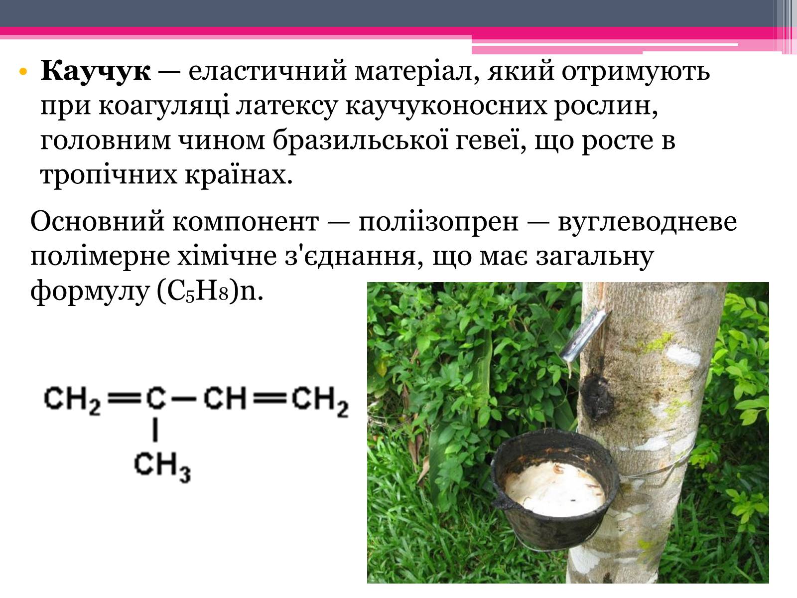Презентація на тему «Природний каучук» - Слайд #3