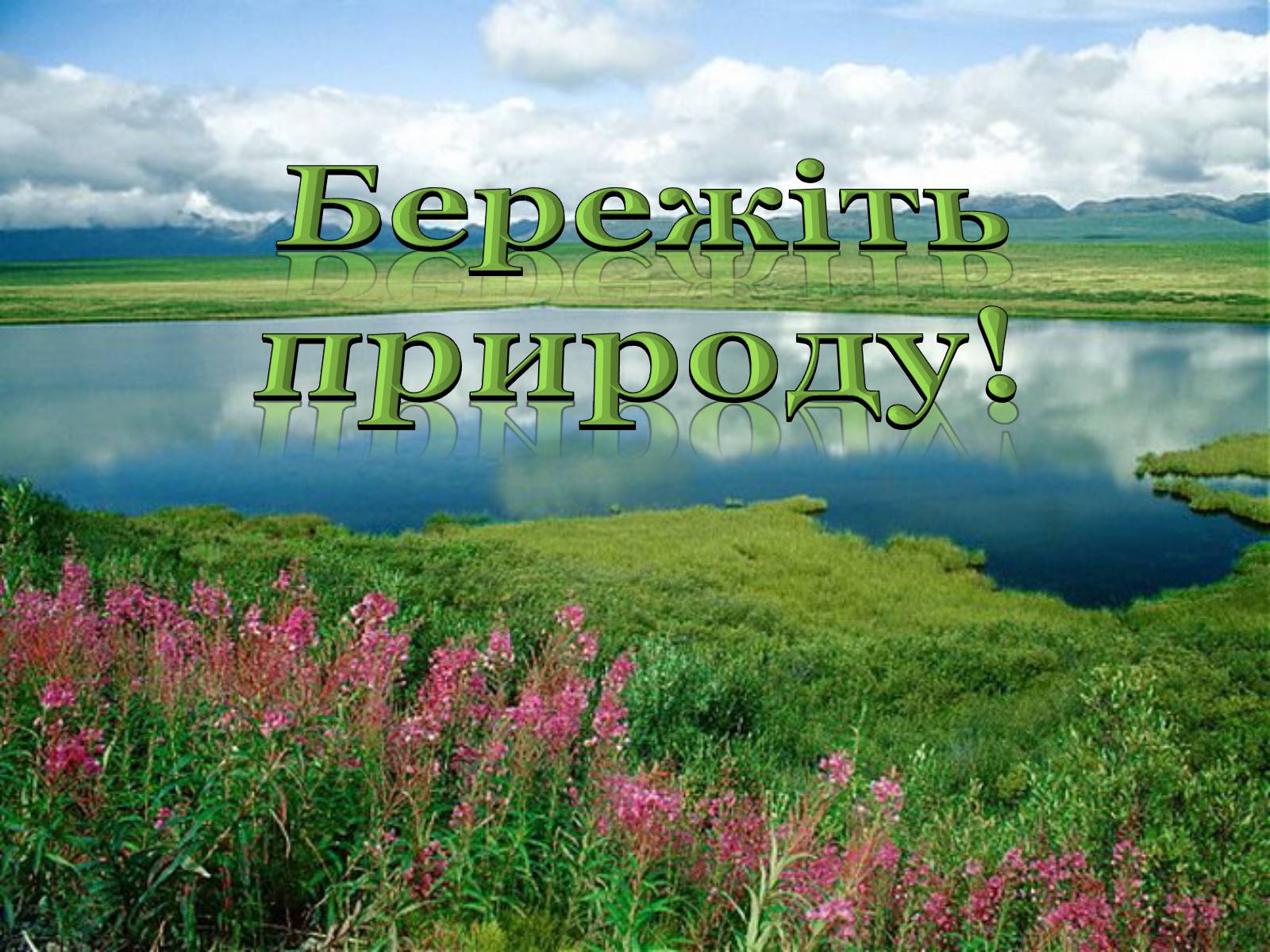 Презентація на тему «Хімія і екологія» (варіант 4) - Слайд #12