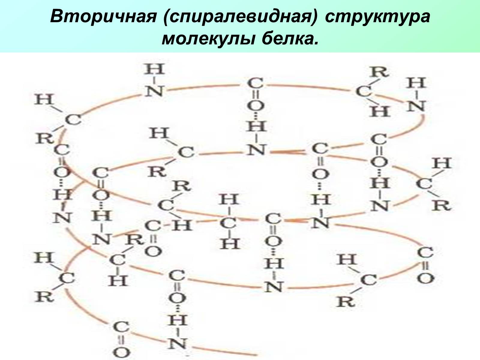 Презентація на тему «Вещества, входящие в состав живых организмов» - Слайд #7