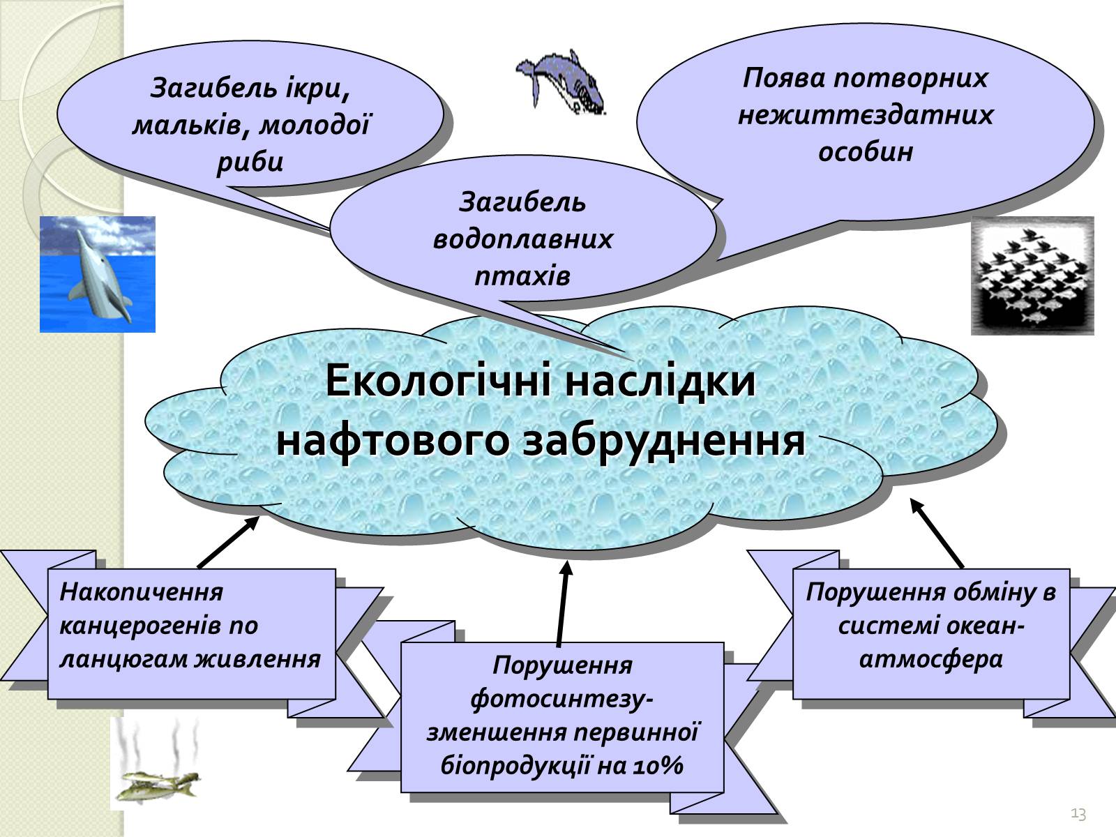 Презентація на тему «Охорона навколишнього середовища від забруднень під час переробки вуглеводневої сировини та використанні її продуктів переробки» (варіант 2) - Слайд #13