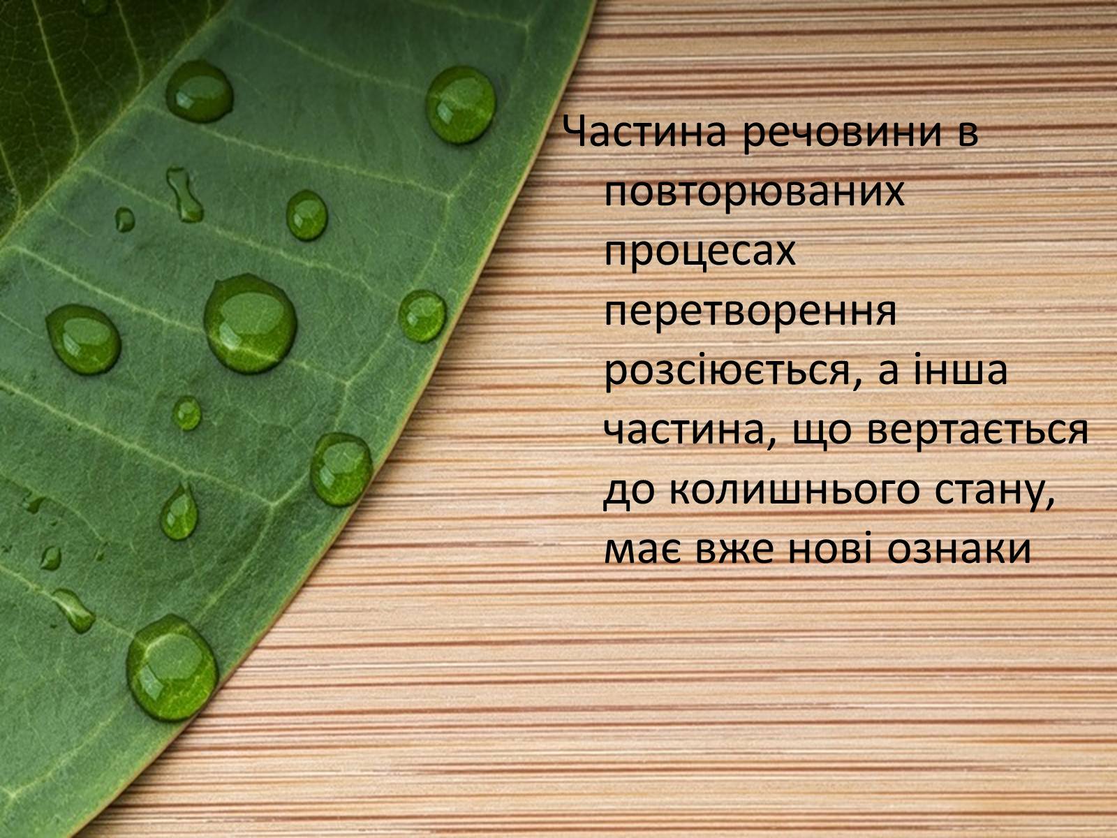 Презентація на тему «Колообіг кальцію у природі» - Слайд #6