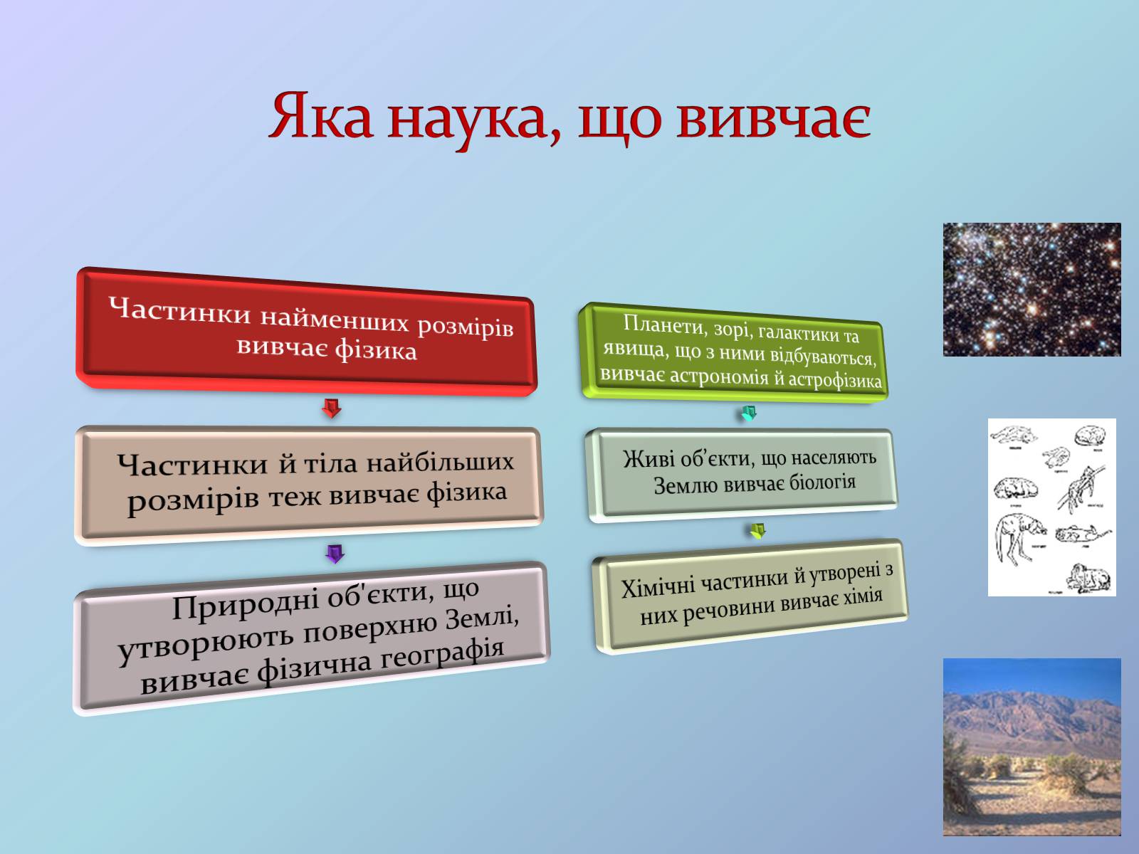 Презентація на тему «Місце хімії серед наук про природу» (варіант 3) - Слайд #7