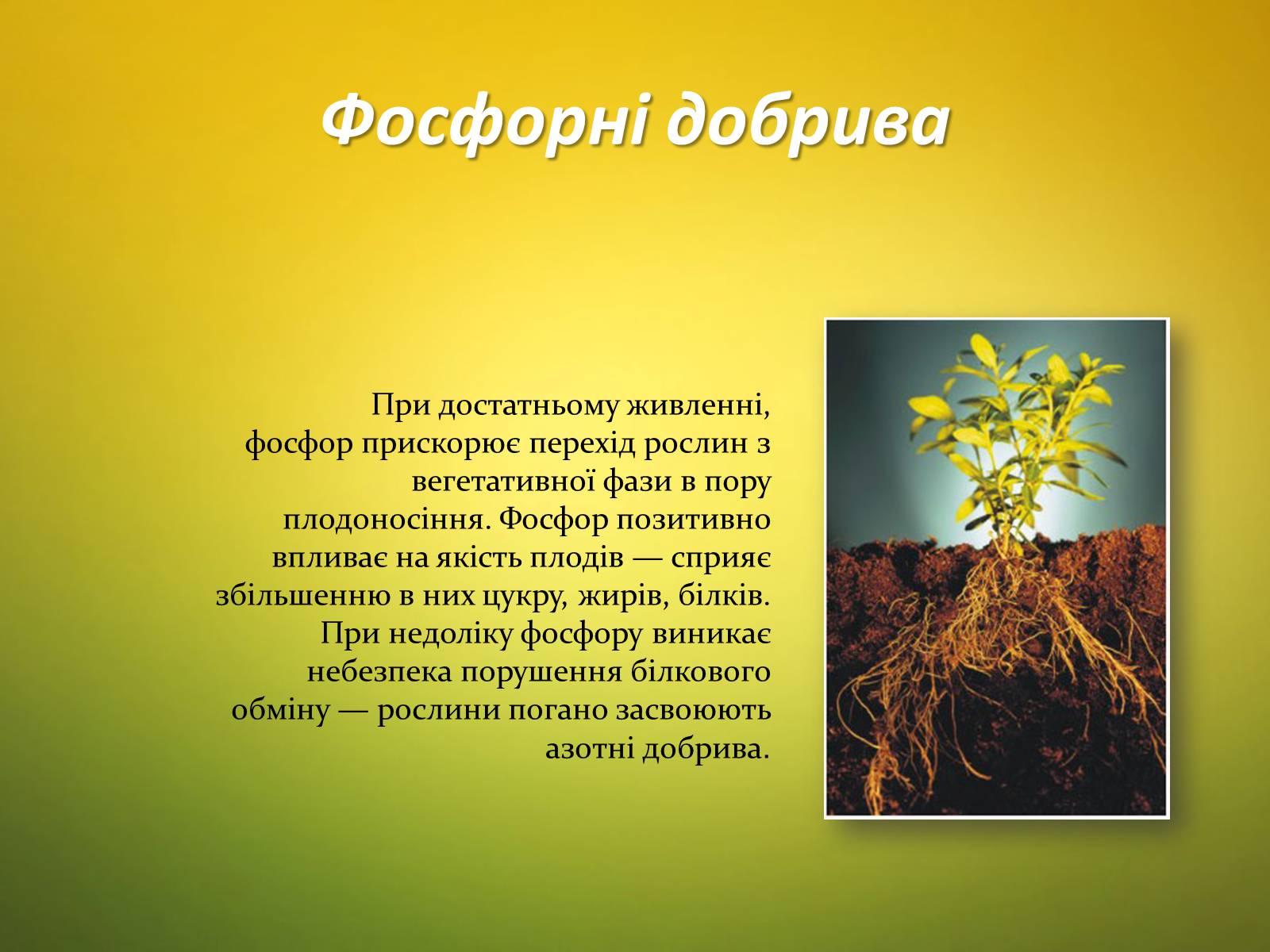 Презентація на тему «Мінеральні добрива та їх класифікація» - Слайд #10