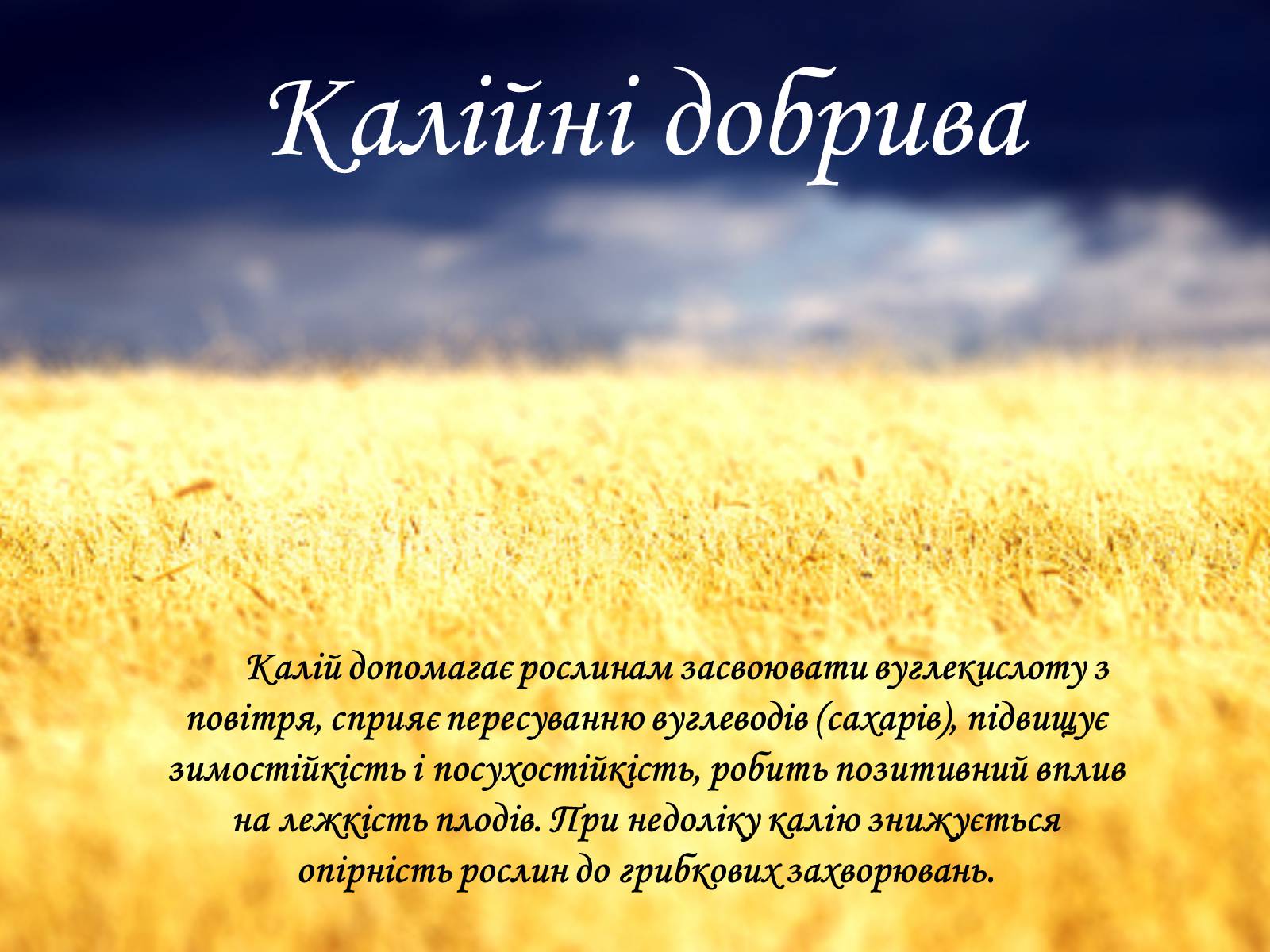 Презентація на тему «Мінеральні добрива та їх класифікація» - Слайд #14