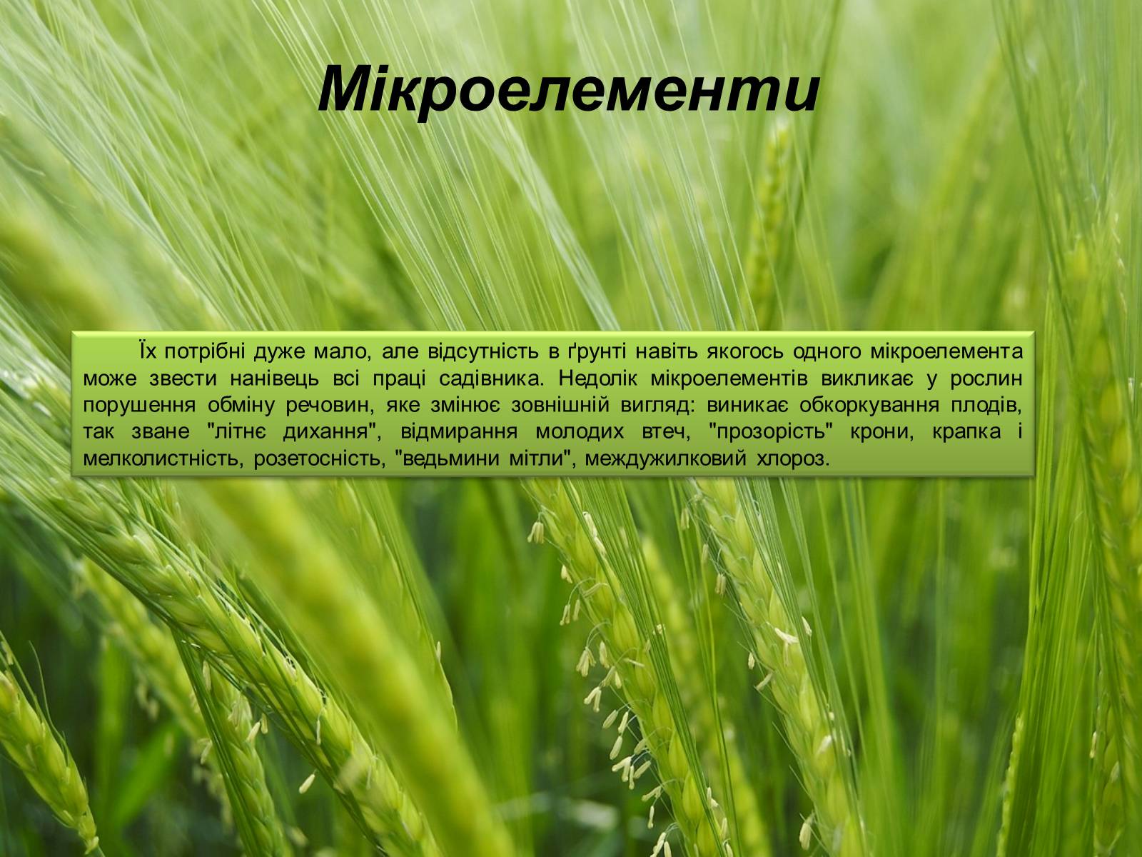 Презентація на тему «Мінеральні добрива та їх класифікація» - Слайд #17