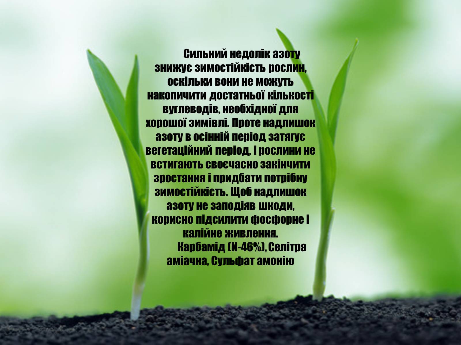 Презентація на тему «Мінеральні добрива та їх класифікація» - Слайд #6