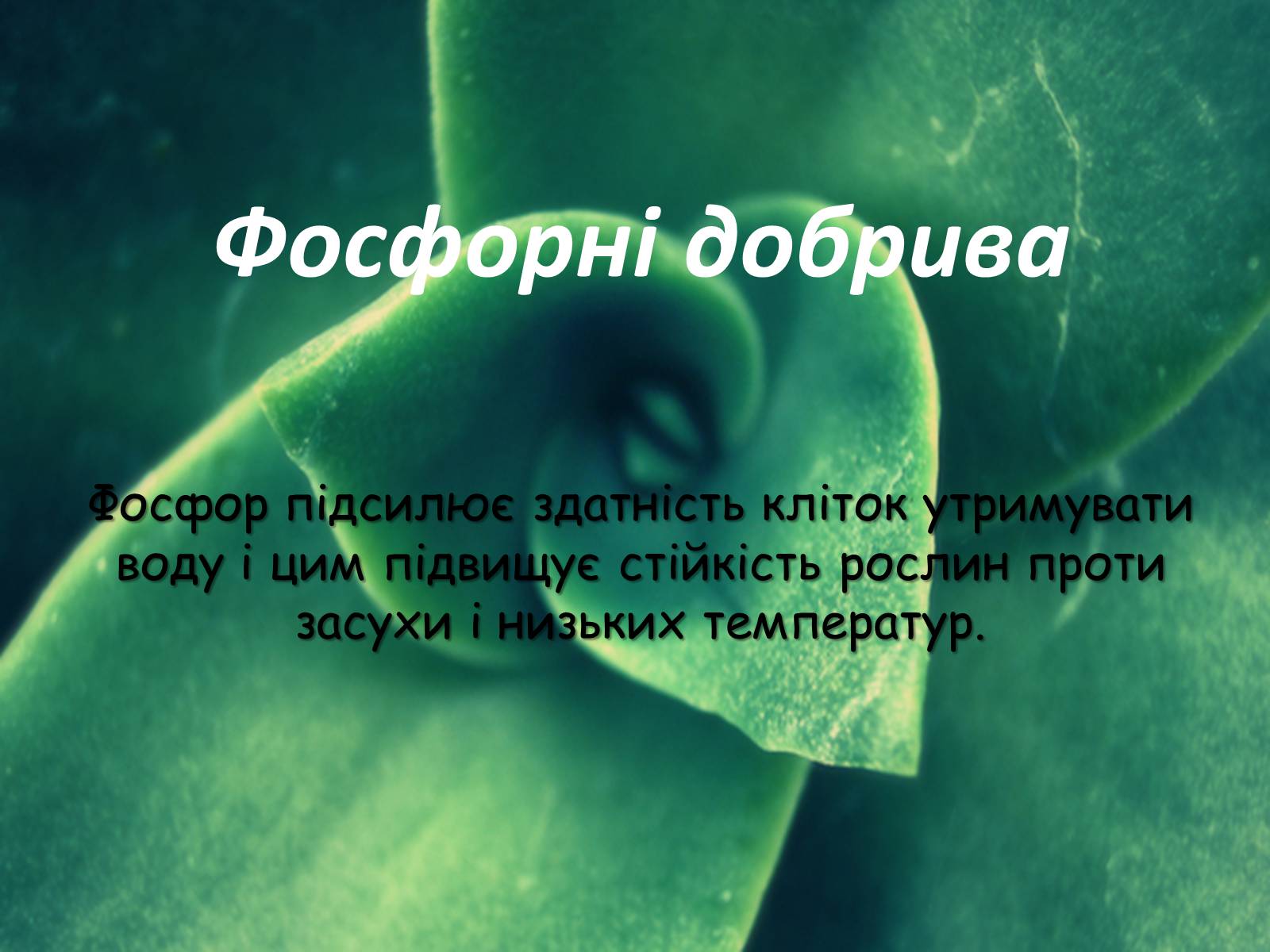 Презентація на тему «Мінеральні добрива та їх класифікація» - Слайд #9