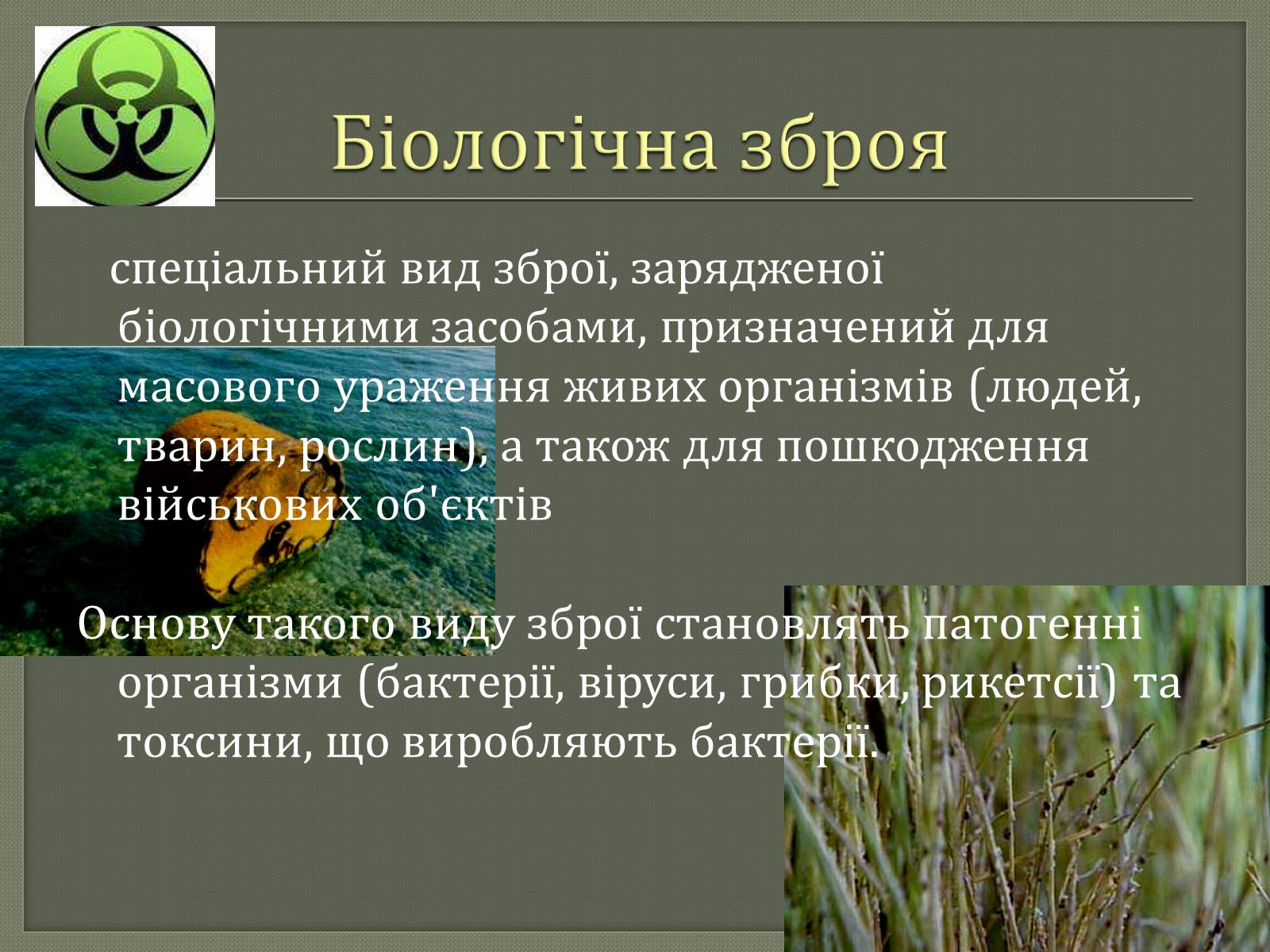 Презентація на тему «Хімічна і біологічна зброя» - Слайд #9