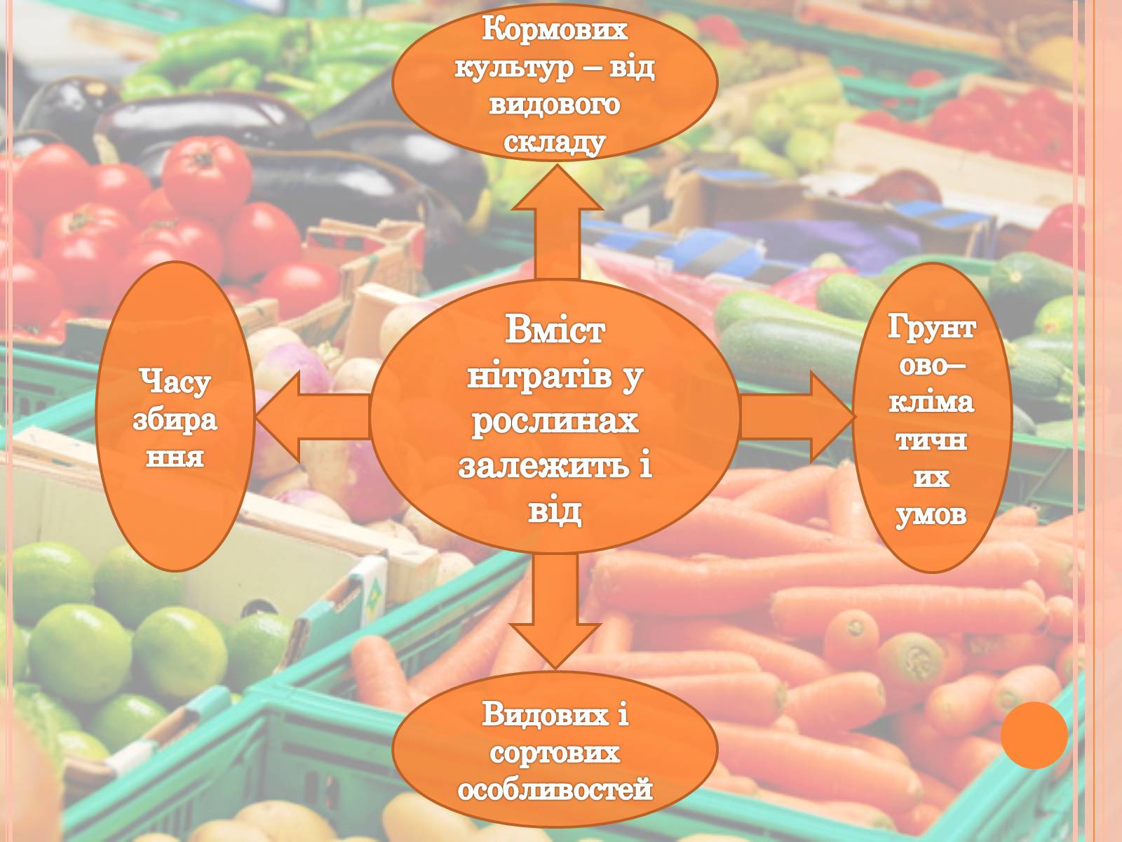 Презентація на тему «Проблема вмісту нітратів у харчових продуктах» - Слайд #6