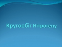 Презентація на тему «Кругообіг Нітрогену» (варіант 1)