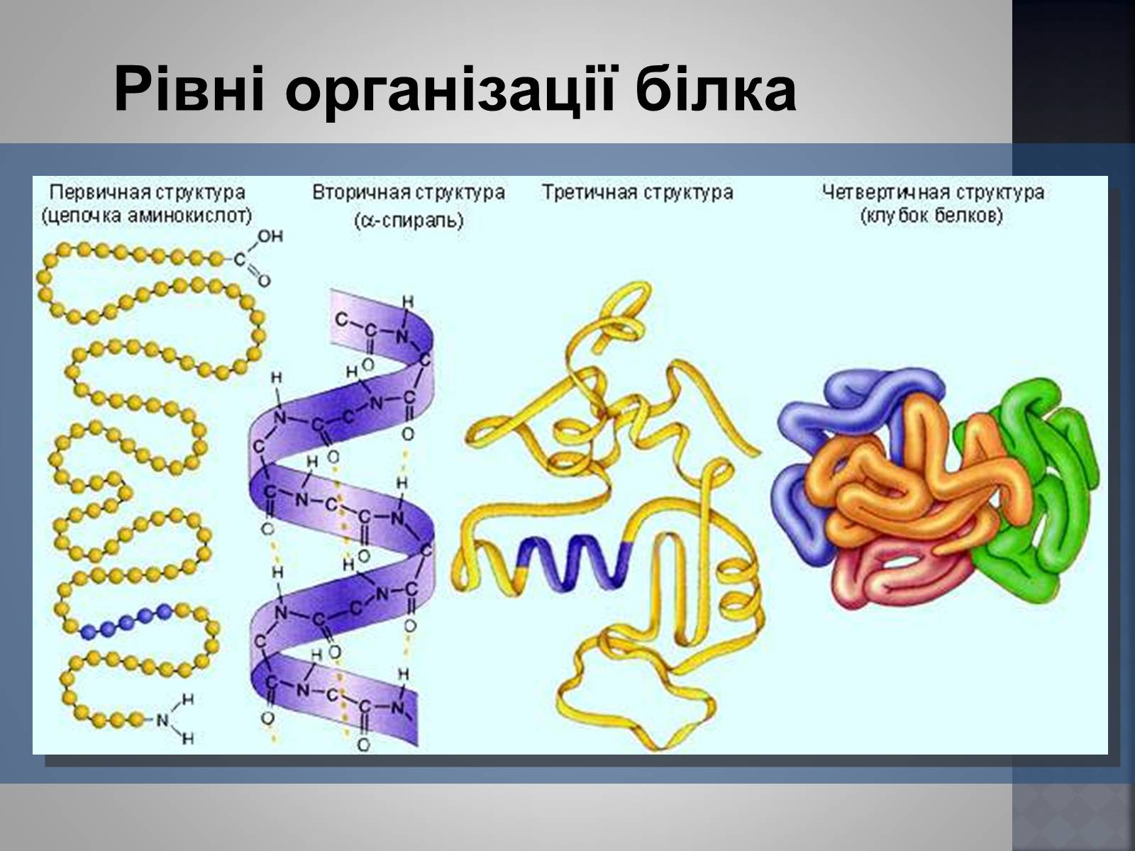 Презентація на тему «Хімія та їжа» (варіант 1) - Слайд #18