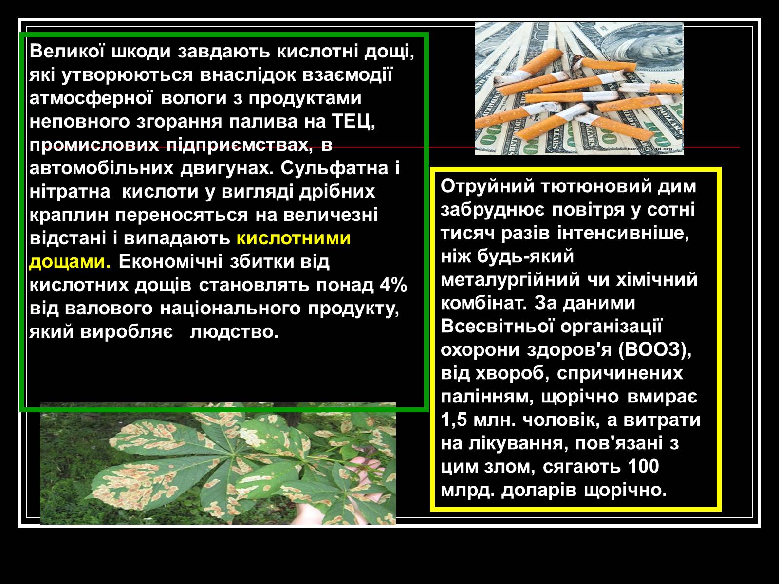 Презентація на тему «Хімія і екологія» (варіант 1) - Слайд #5