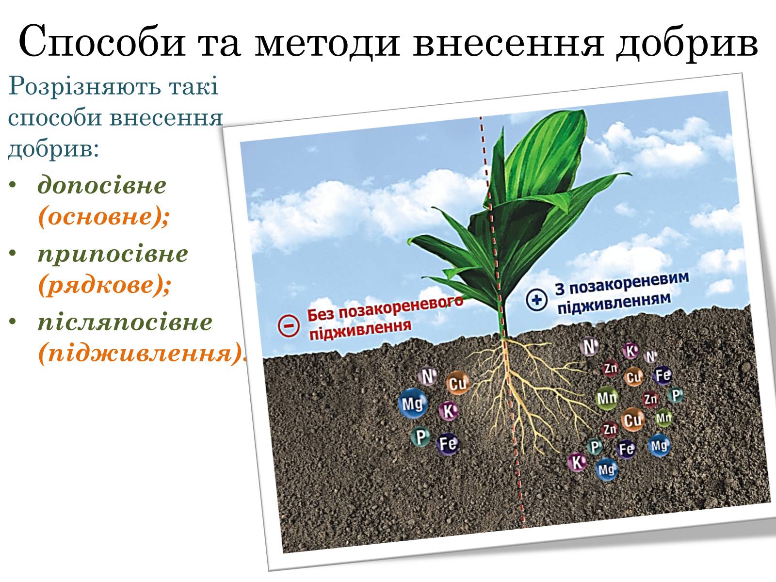 Презентація на тему «Загальна характеристика добрив» - Слайд #11