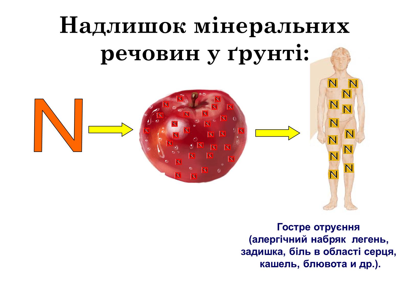 Презентація на тему «Загальна характеристика добрив» - Слайд #12