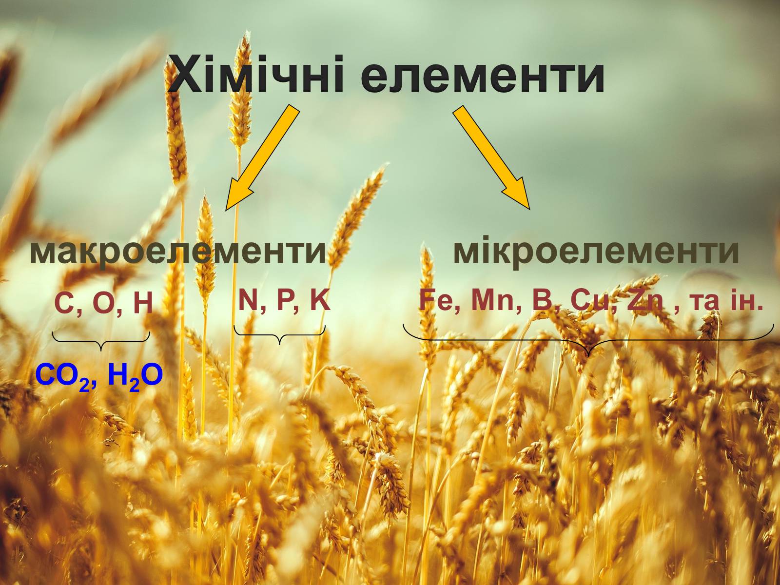 Презентація на тему «Загальна характеристика добрив» - Слайд #5