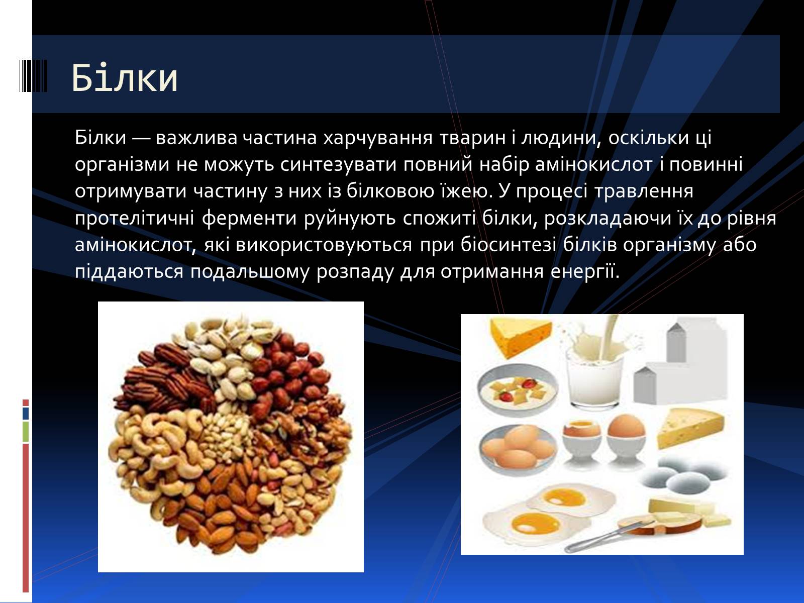 Презентація на тему «Органічні речовини» (варіант 2) - Слайд #5