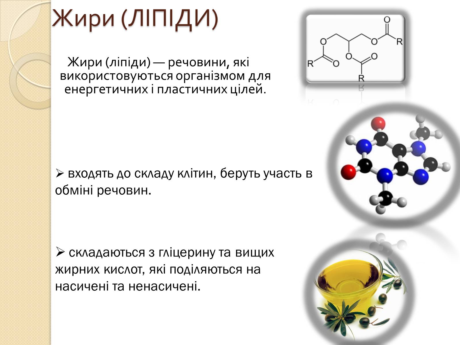 Презентація на тему «Жири» (варіант 3) - Слайд #3