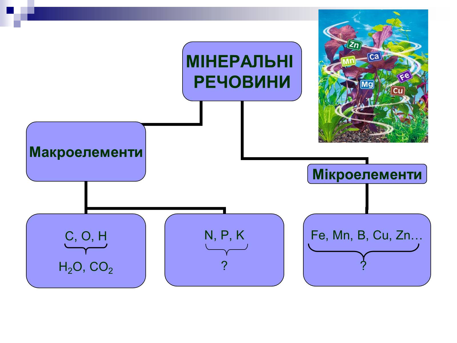 Презентація на тему «Мінеральні добрива» (варіант 2) - Слайд #4