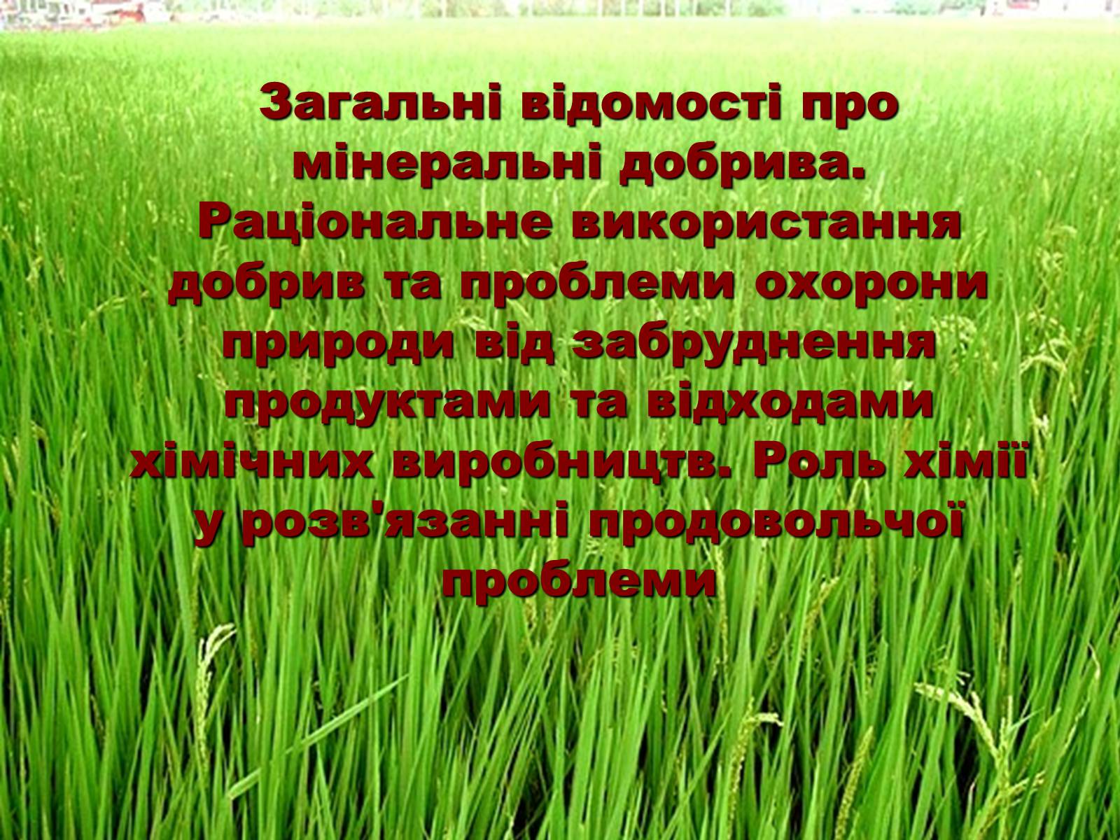 Презентація на тему «Мінеральні добрива» (варіант 5) - Слайд #2