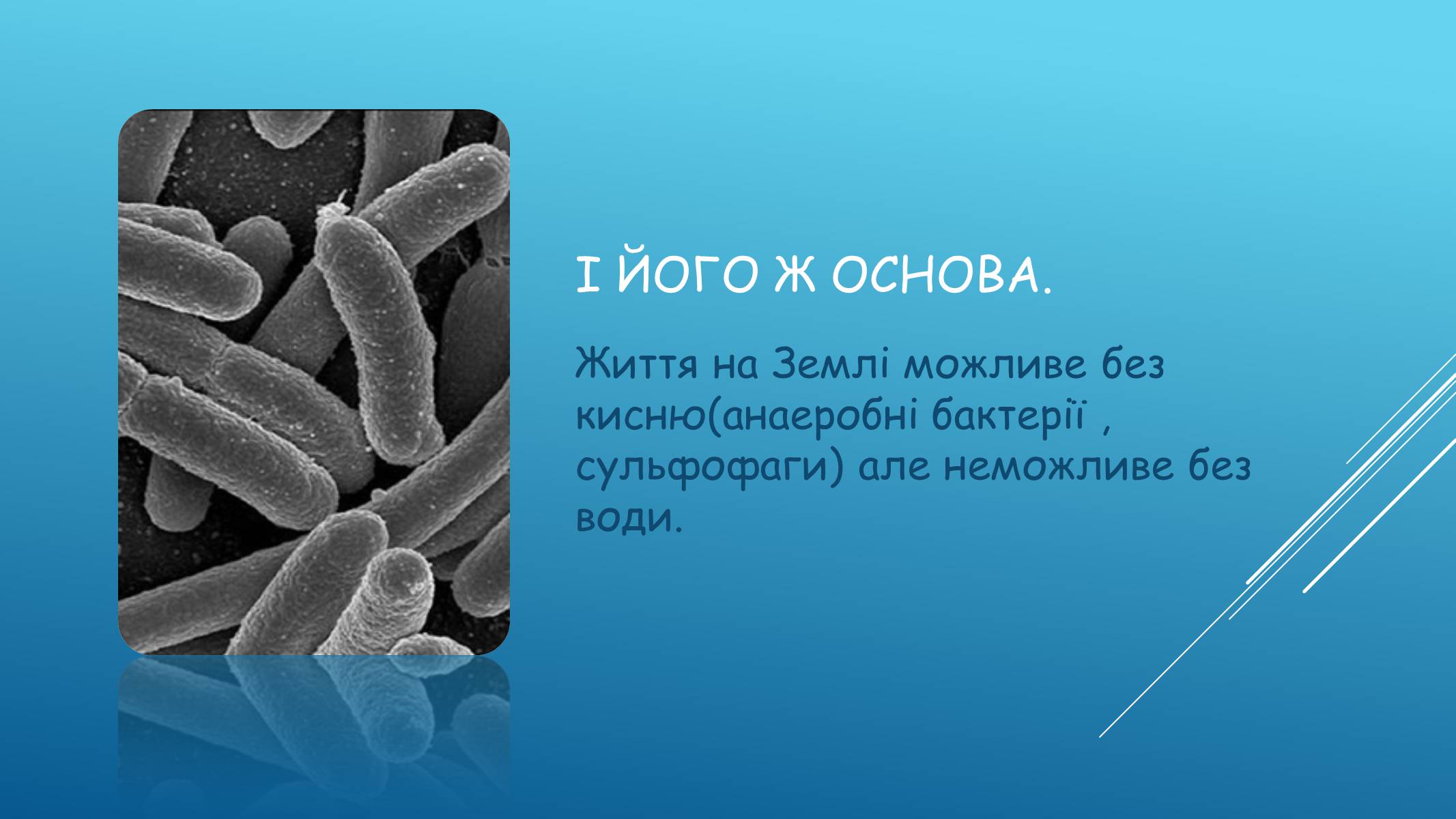 Презентація на тему «Хімія у нашому житті. Вода» - Слайд #6