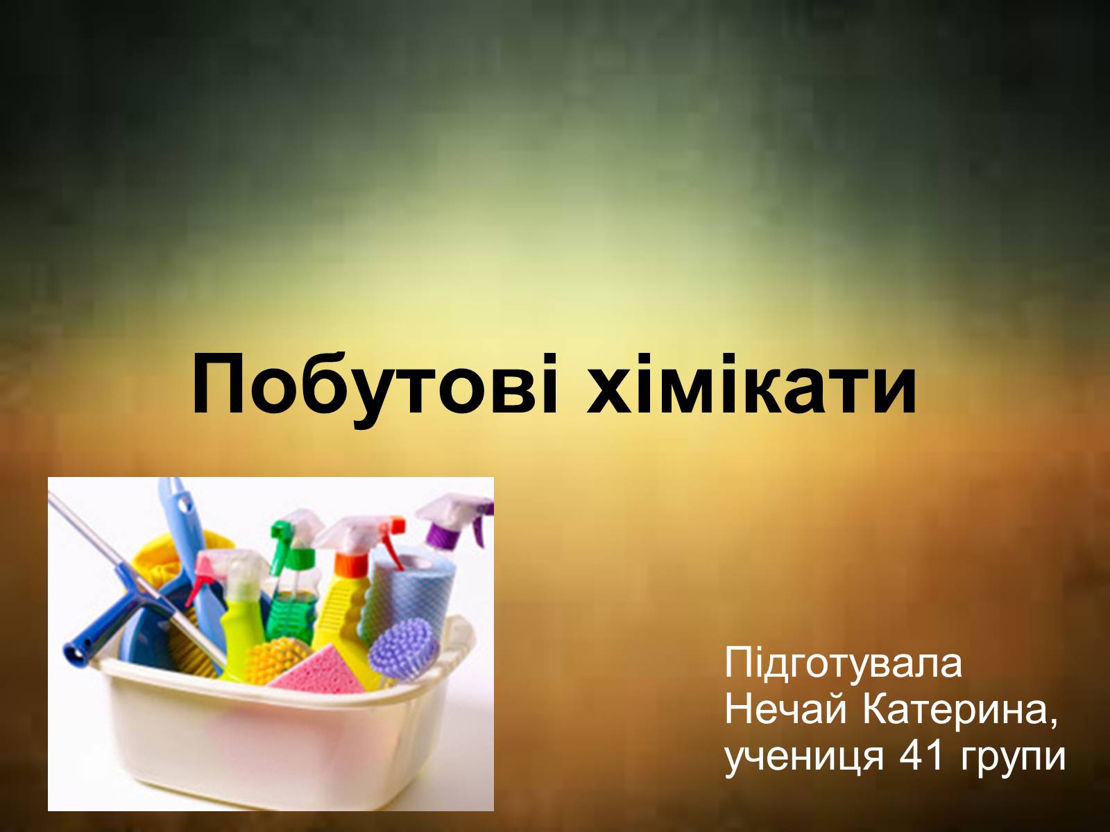 Презентація на тему «Побутові хімікати» (варіант 2) - Слайд #1