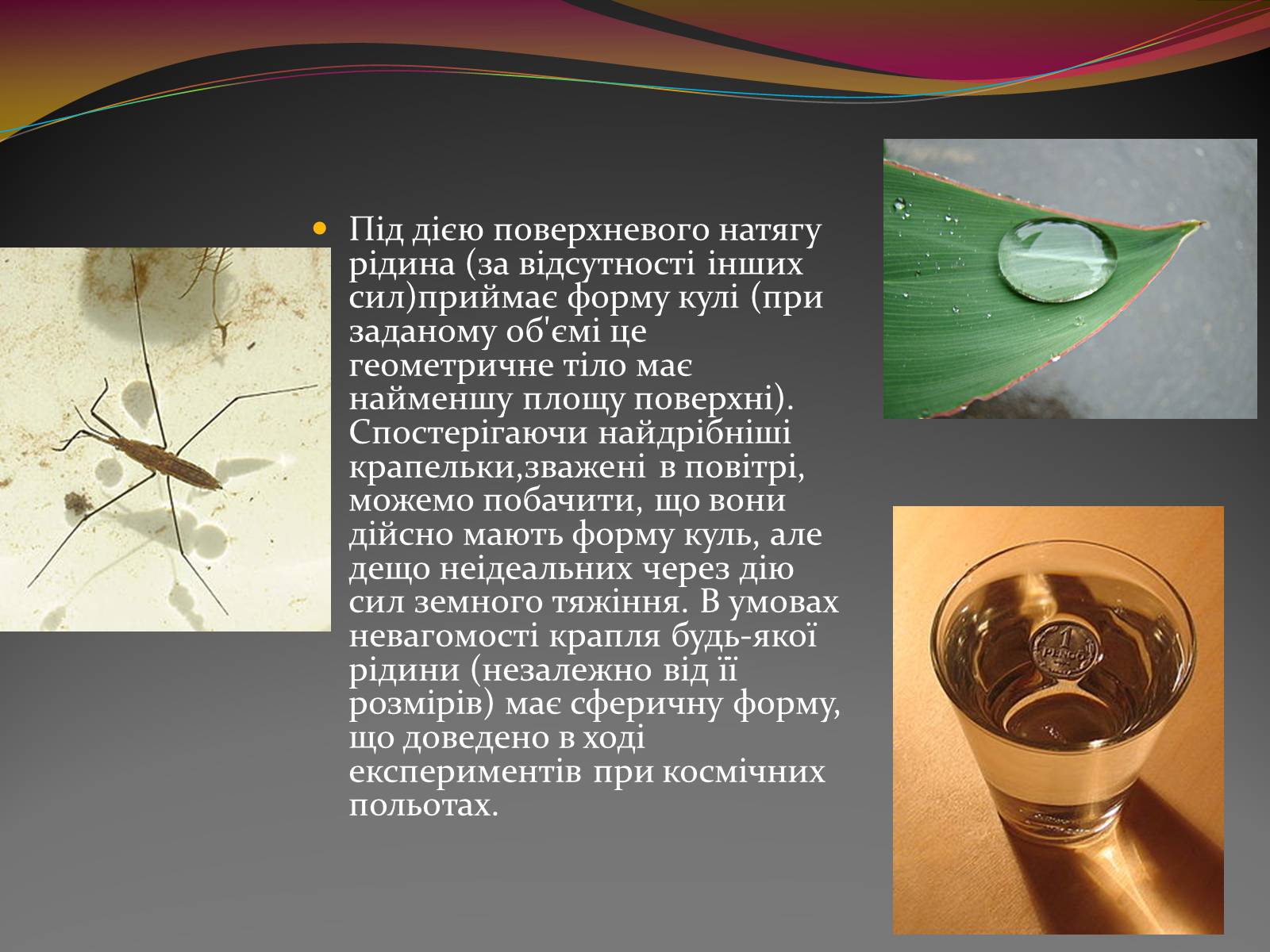 Презентація на тему «Вода — найбільш незвичайна речовина в світі» - Слайд #14