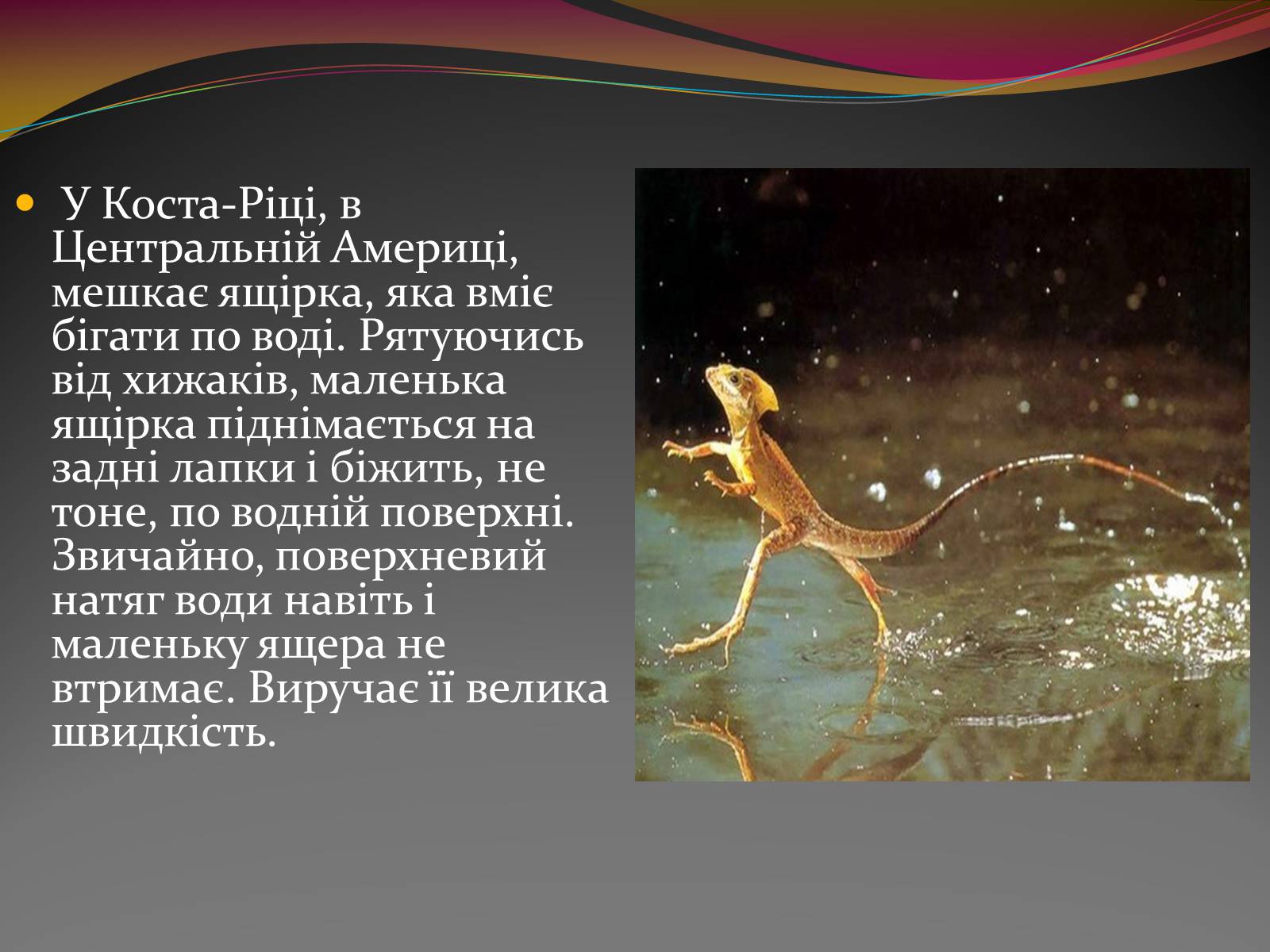 Презентація на тему «Вода — найбільш незвичайна речовина в світі» - Слайд #15