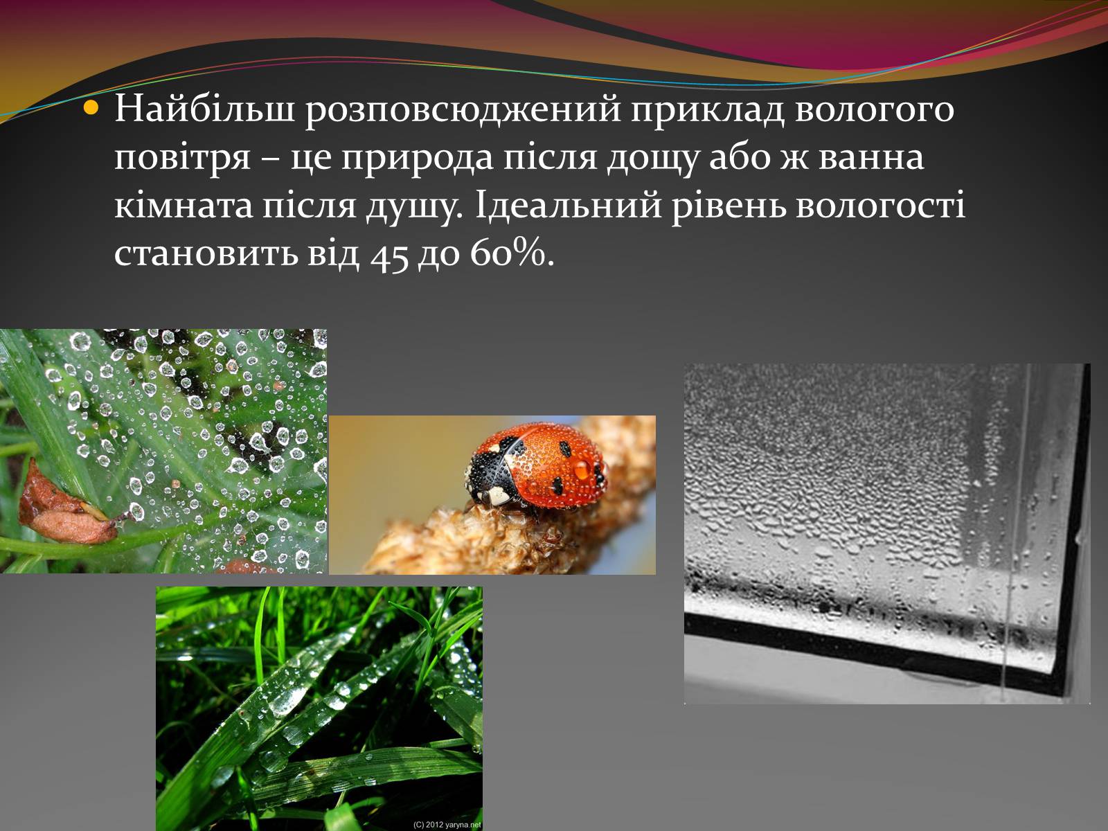 Презентація на тему «Вода — найбільш незвичайна речовина в світі» - Слайд #6