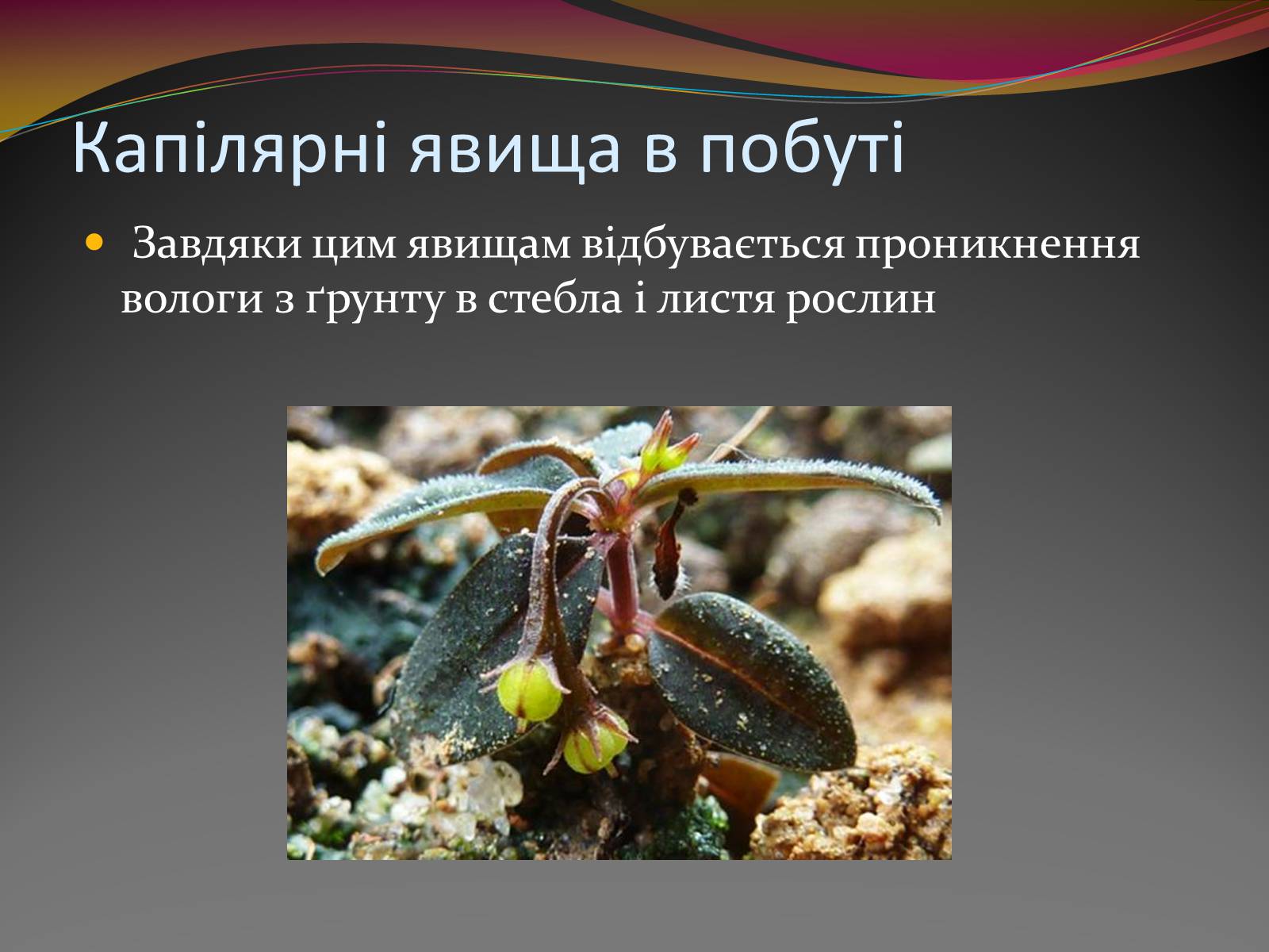 Презентація на тему «Вода — найбільш незвичайна речовина в світі» - Слайд #9