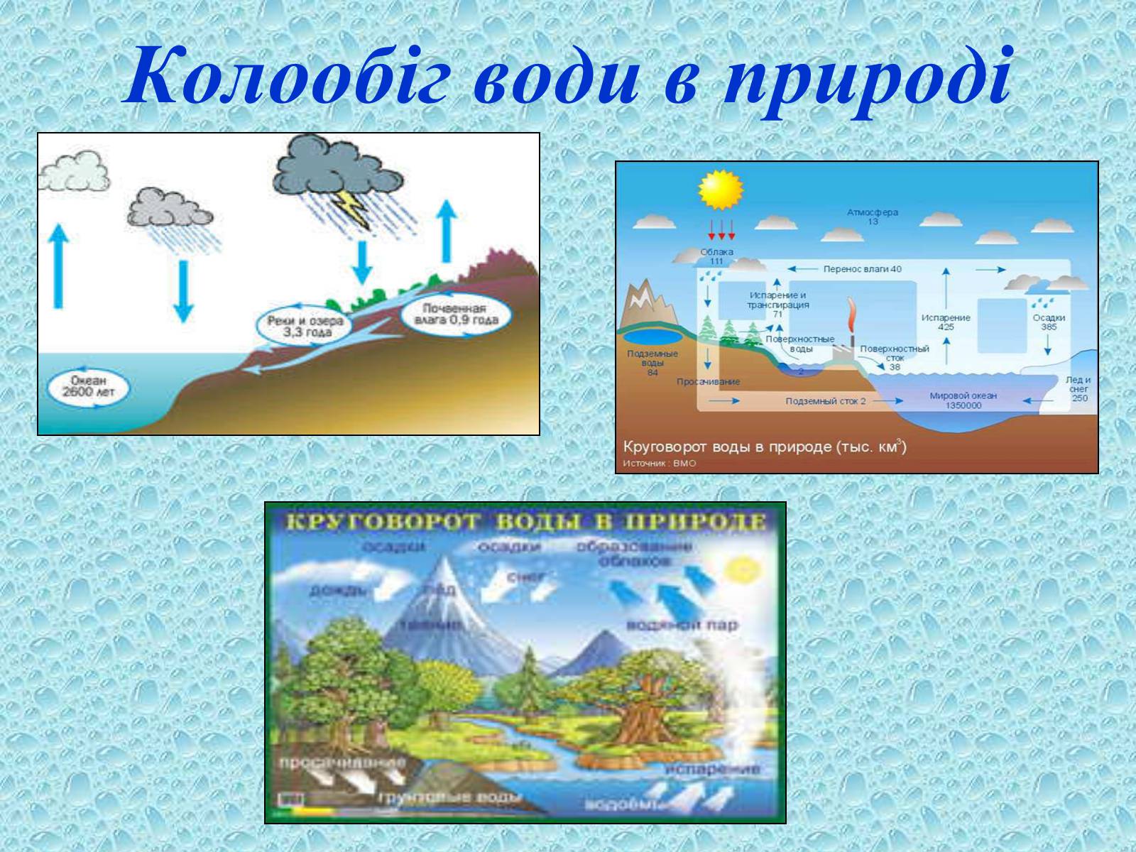 Презентація на тему «Вода в організмах» (варіант 1) - Слайд #20