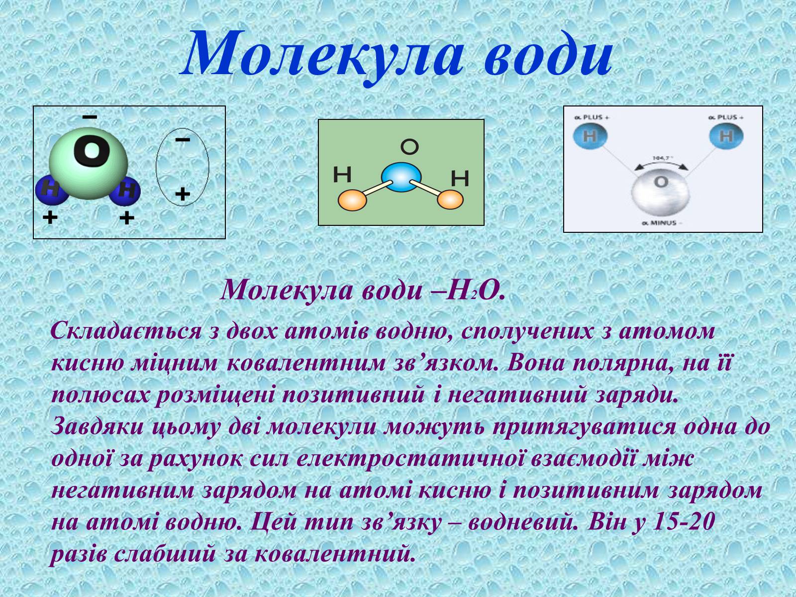 Презентація на тему «Вода в організмах» (варіант 1) - Слайд #5