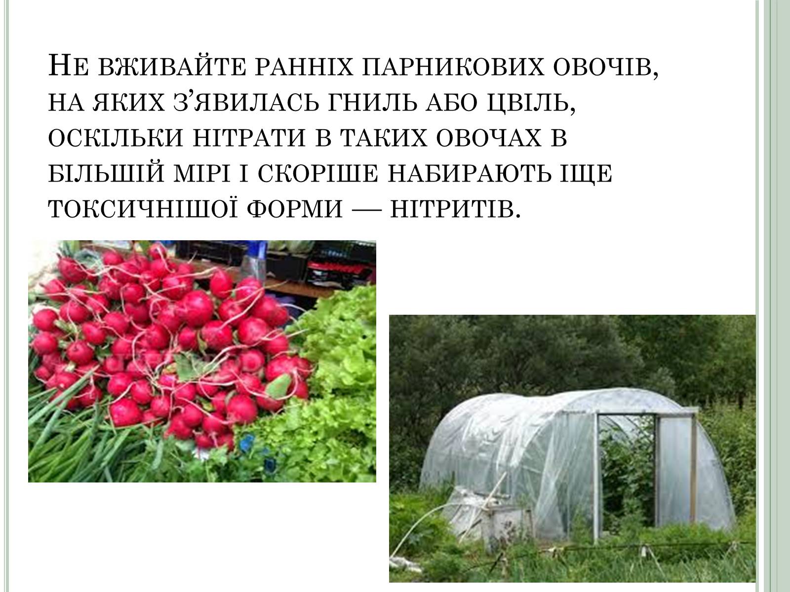 Презентація на тему «Нітратні добрива в продукції СГ» - Слайд #11