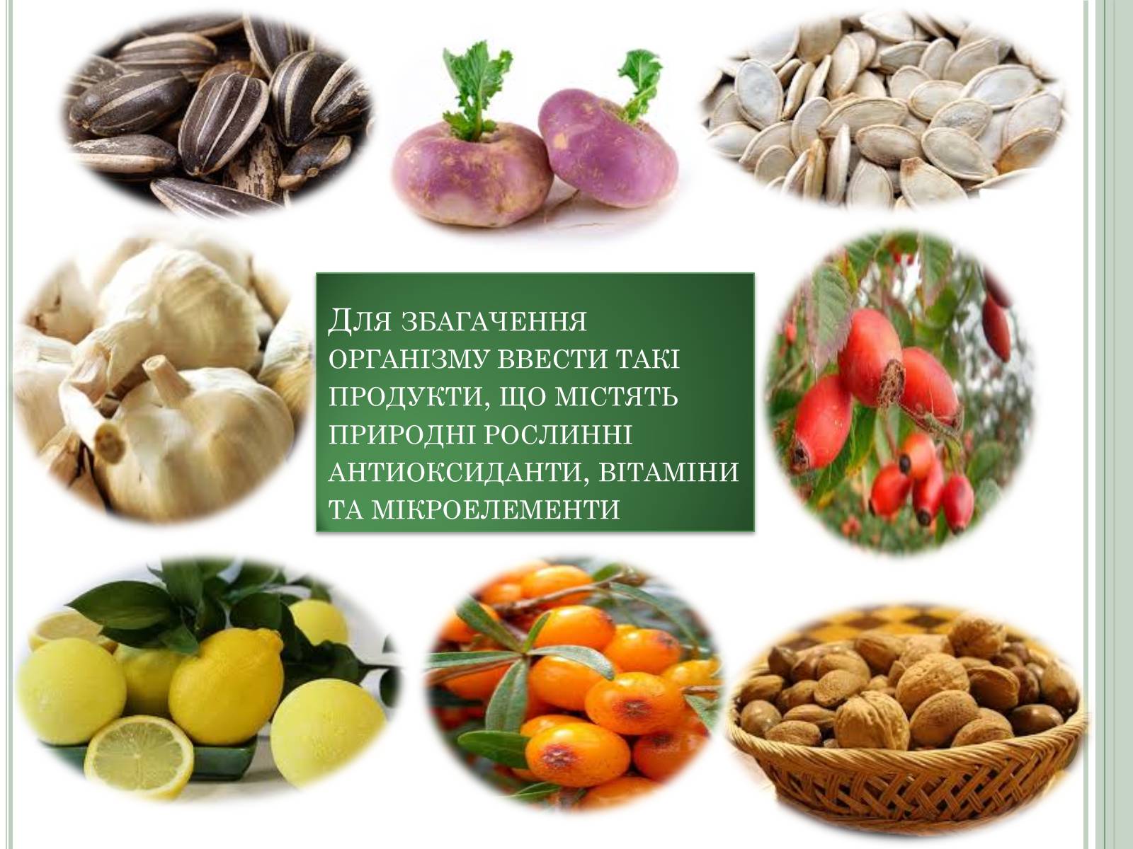 Презентація на тему «Нітратні добрива в продукції СГ» - Слайд #17