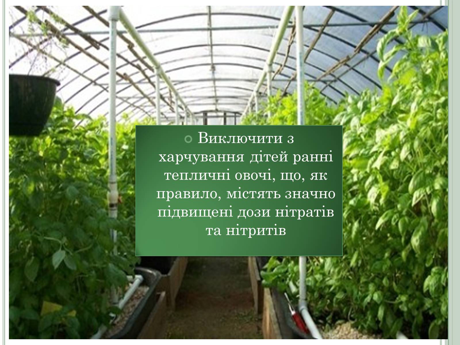 Презентація на тему «Нітратні добрива в продукції СГ» - Слайд #18