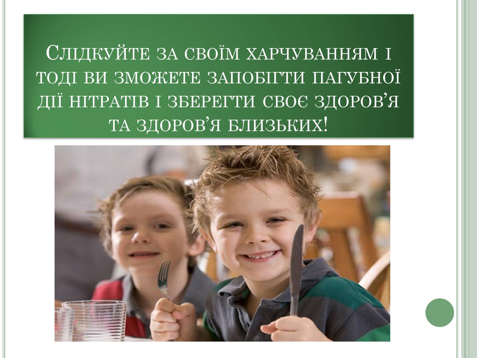 Презентація на тему «Нітратні добрива в продукції СГ» - Слайд #20