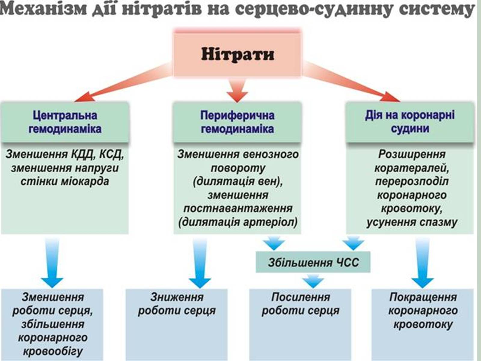 Презентація на тему «Нітратні добрива в продукції СГ» - Слайд #5