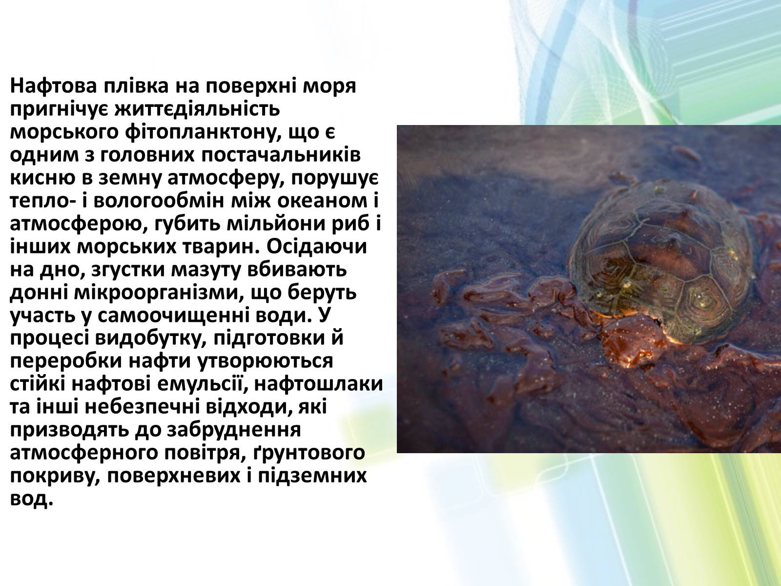 Презентація на тему «Охорона довкілля від забруднень при обробці вуглеводневої сировини» - Слайд #11