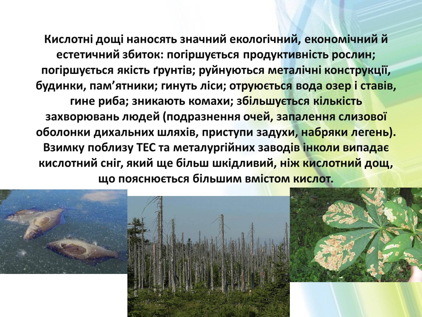 Презентація на тему «Охорона довкілля від забруднень при обробці вуглеводневої сировини» - Слайд #15