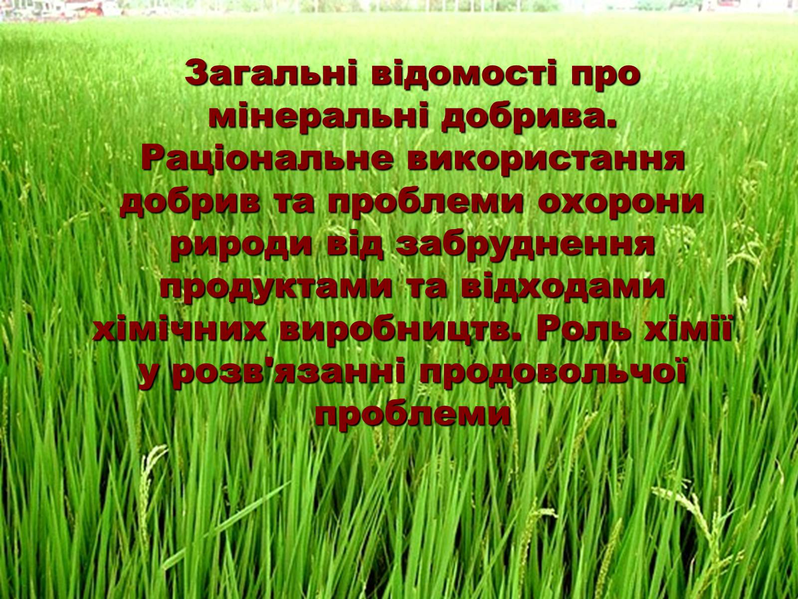 Презентація на тему «Загальні відомості про мінеральні добрива» (варіант 1) - Слайд #1