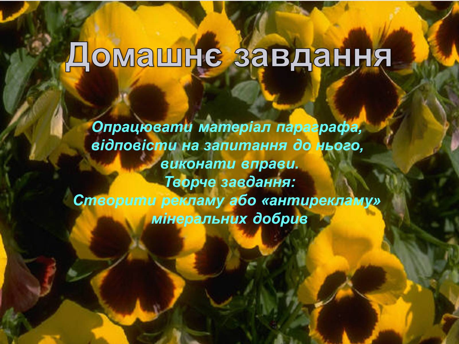 Презентація на тему «Загальні відомості про мінеральні добрива» (варіант 1) - Слайд #23