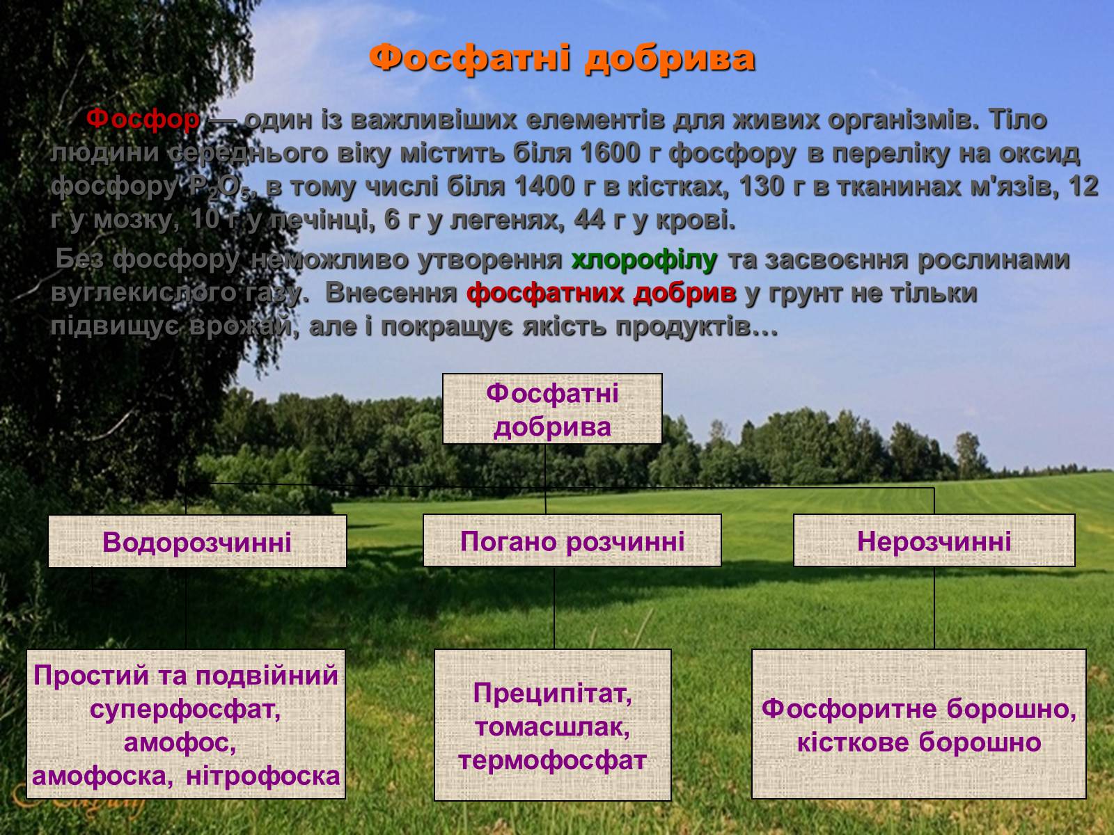 Презентація на тему «Загальні відомості про мінеральні добрива» (варіант 1) - Слайд #8