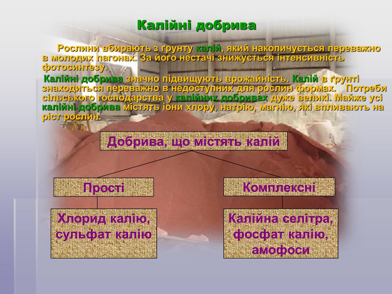 Презентація на тему «Загальні відомості про мінеральні добрива» (варіант 1) - Слайд #9